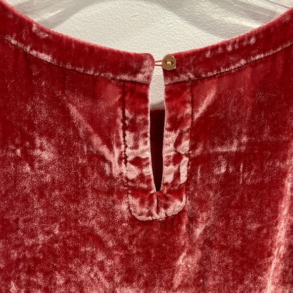 Loft Velvet Ruffle Sleeve Top - Pink - Picture 4 of 5